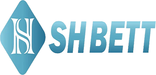 vnshbett Logo